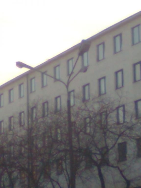 ZdjÄ™cie0990[1].jp