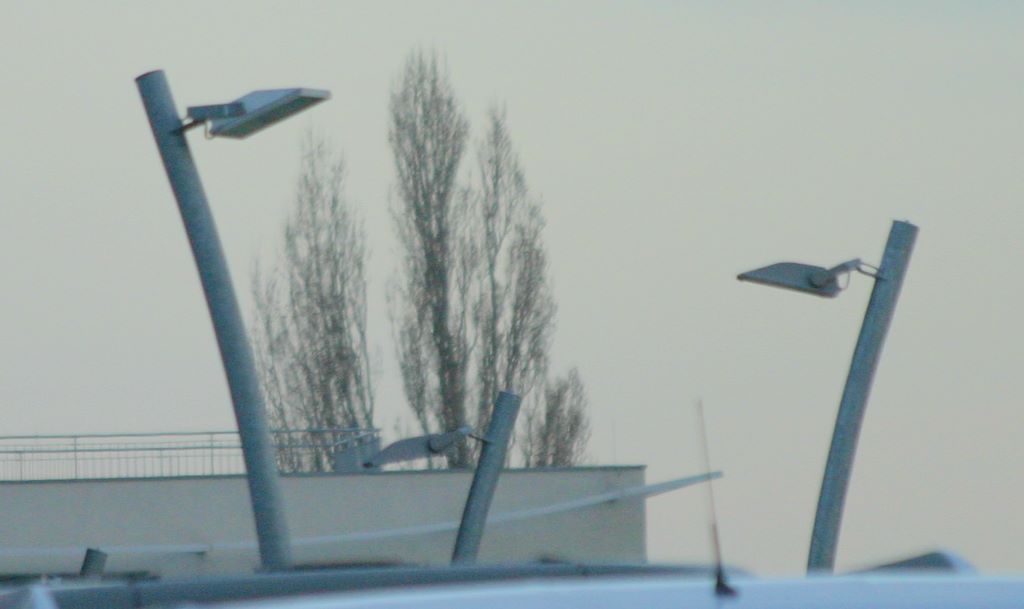 Wiedeń