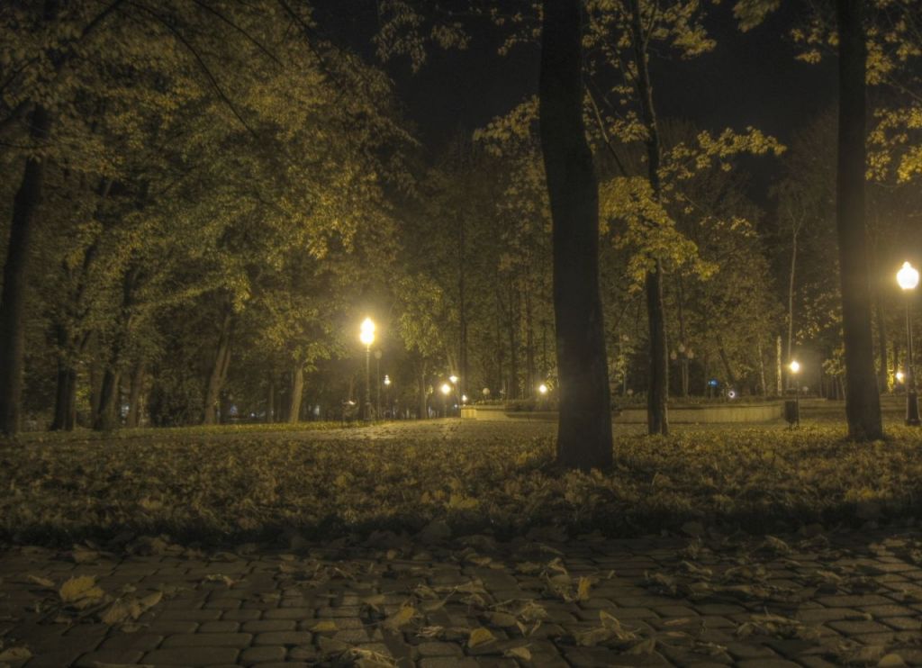 Jasielski park nocą (HDR)