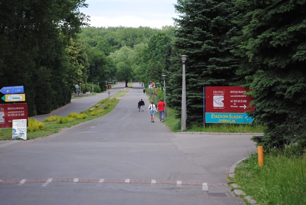 DSC 0130