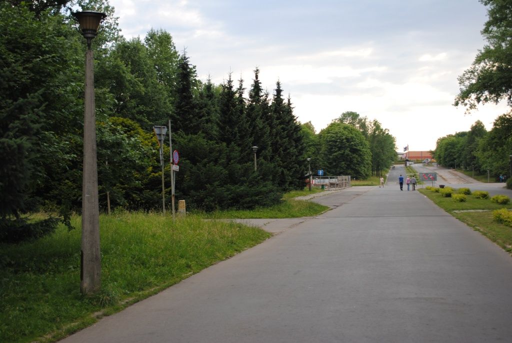 DSC 0131