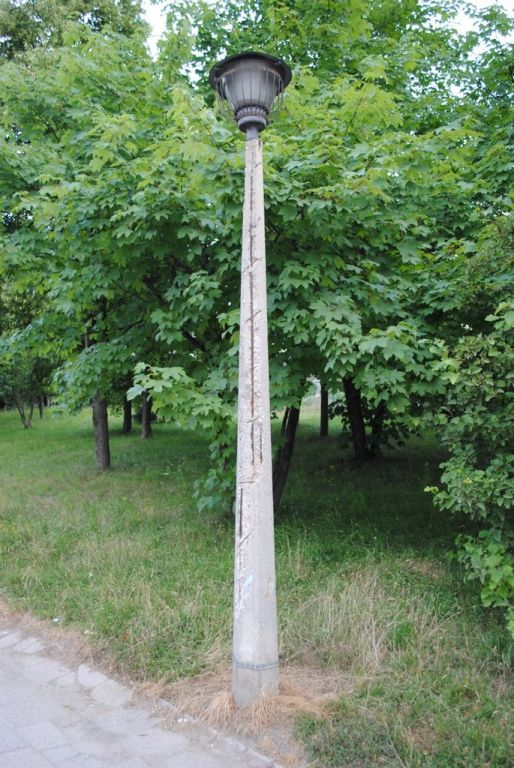 DSC 0135