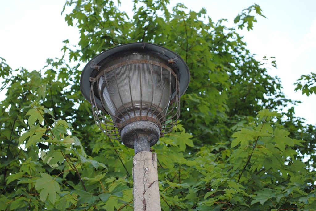 DSC 0136