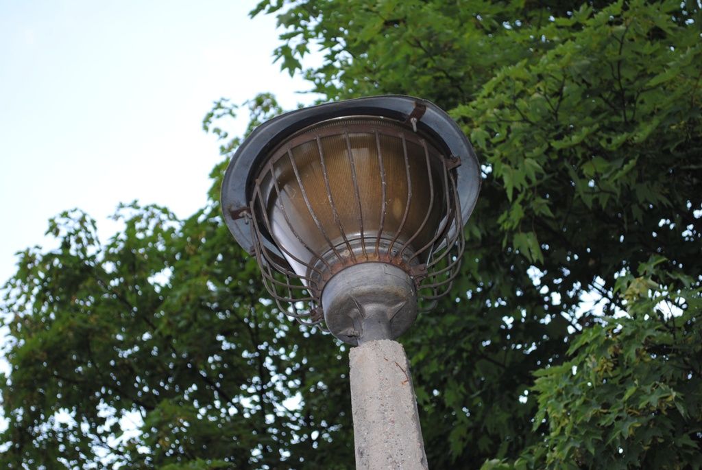 DSC 0138