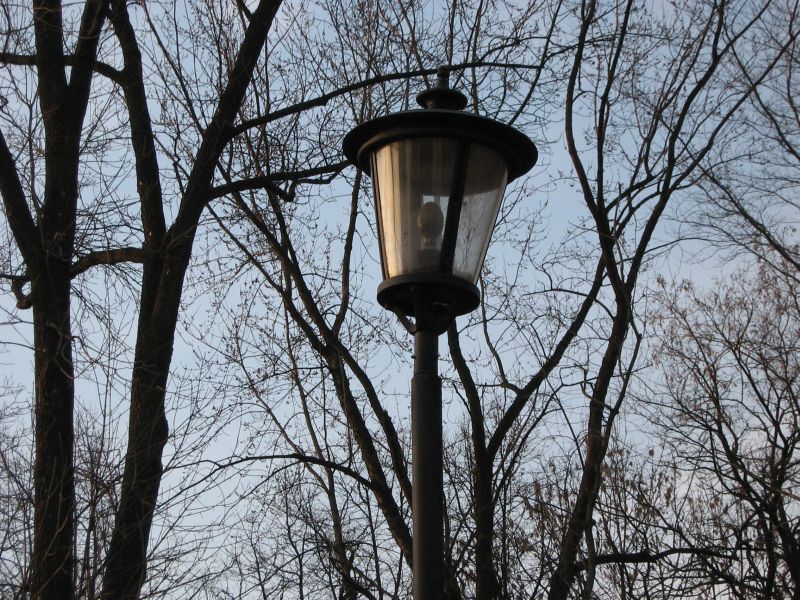 Oprawa park