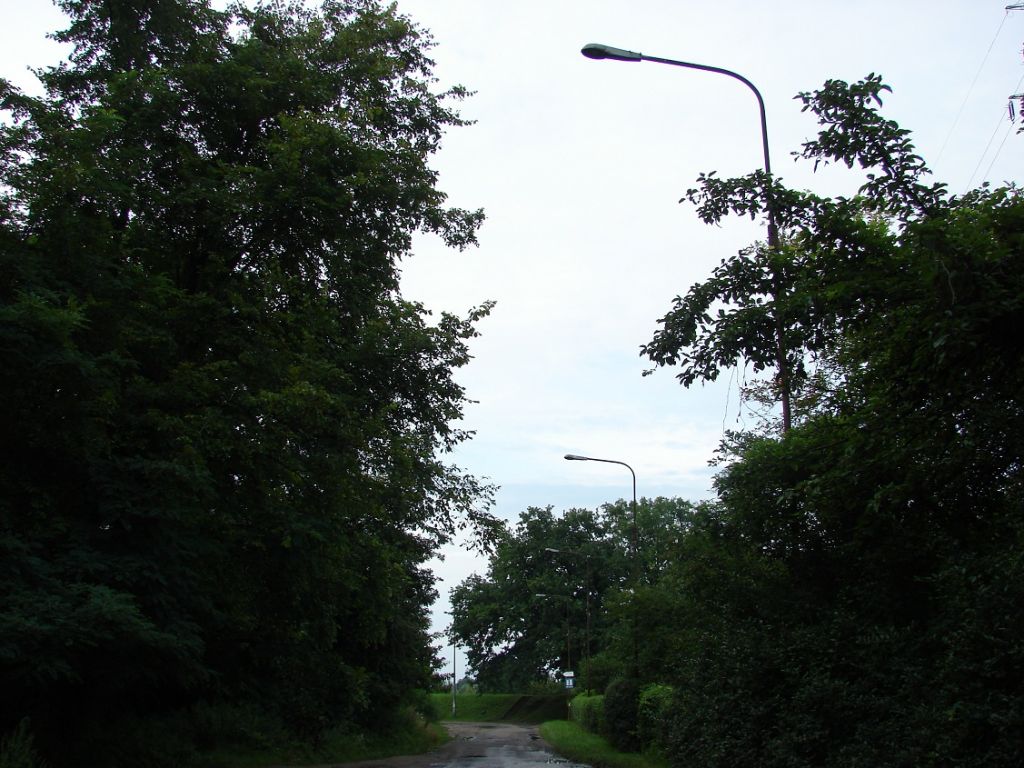 205