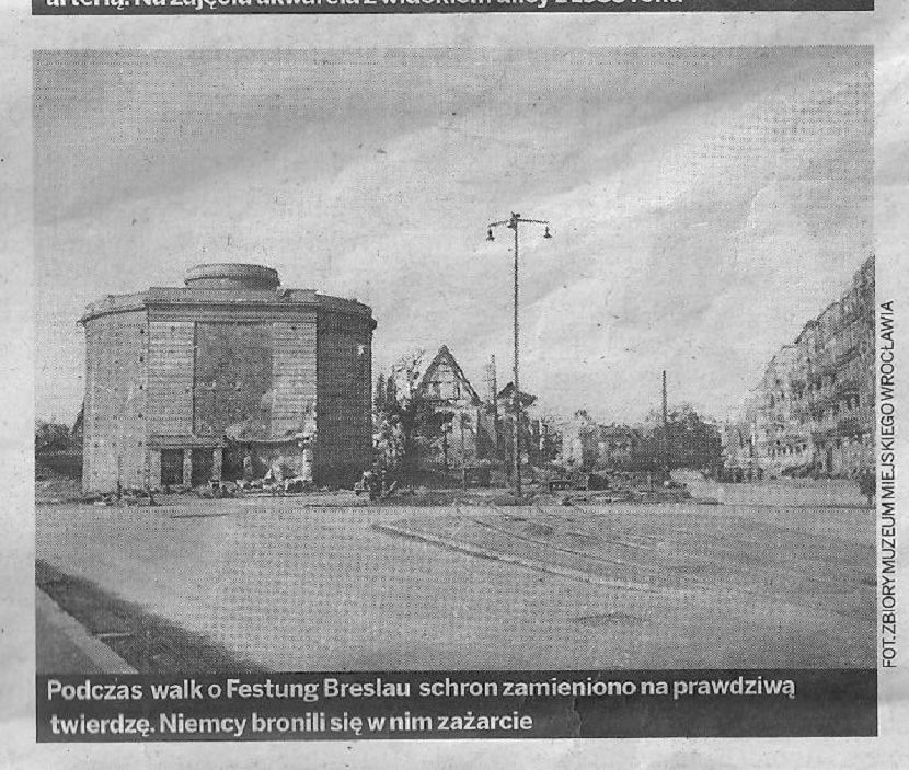kwiat strzegomska bunkier - Kopia