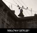 159