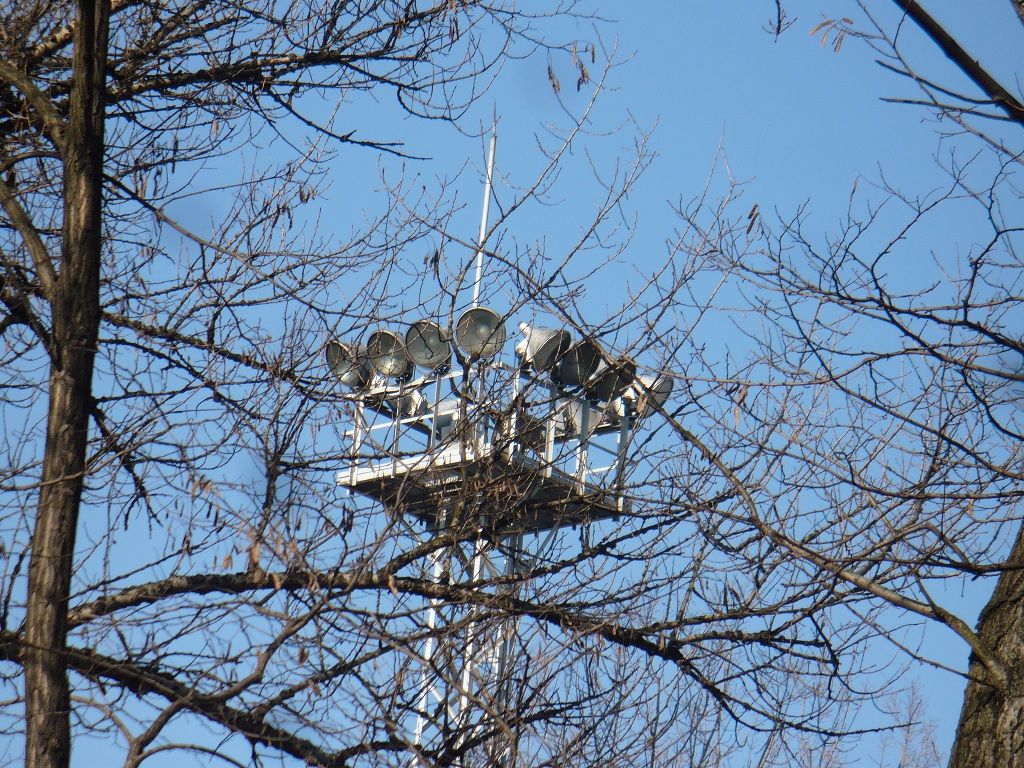 Kraków, połowy klasyków