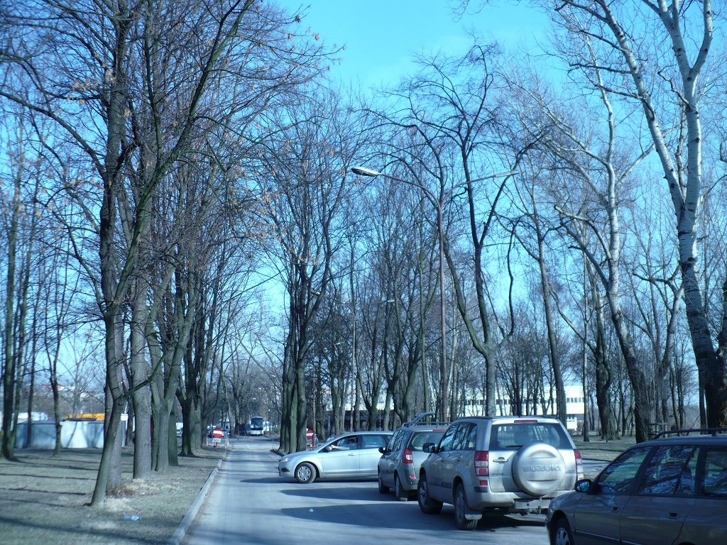 Kraków, połowy klasyków