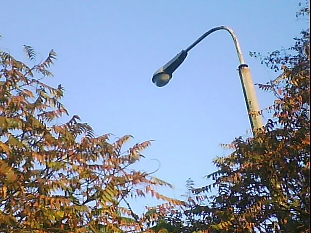 DSC-0455