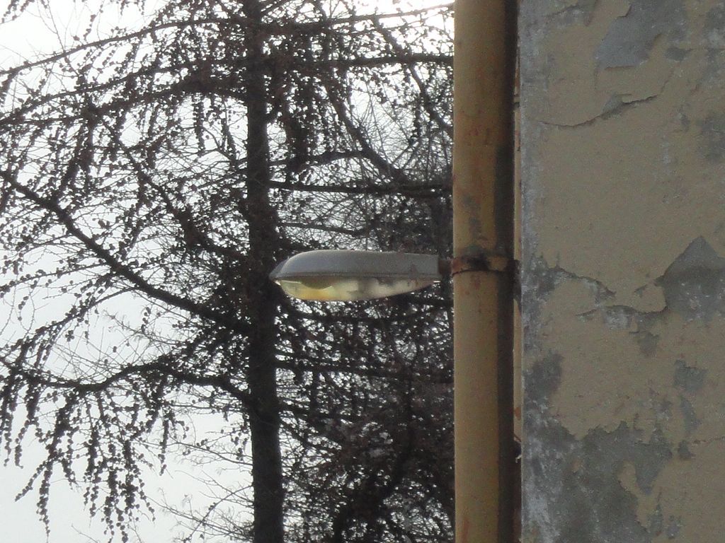 Gdańsk Oliwa 2