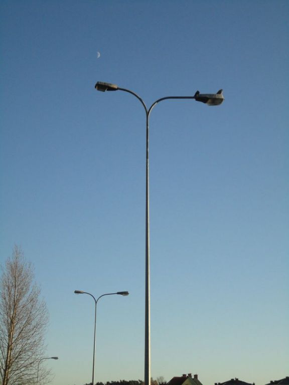 duet SGSów 1