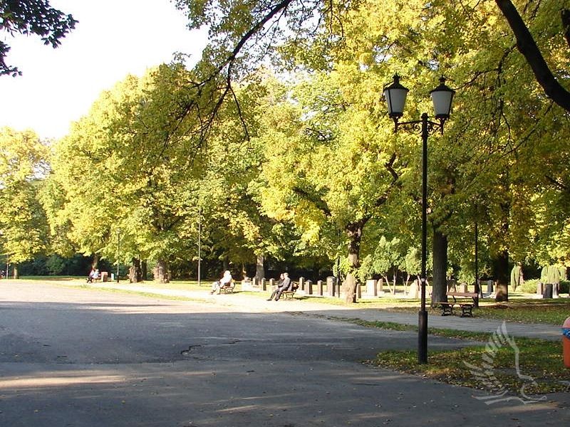 DSC02306