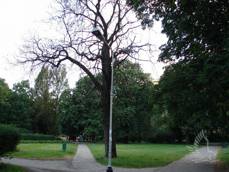 DSC04165