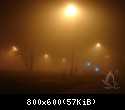 DSC09556