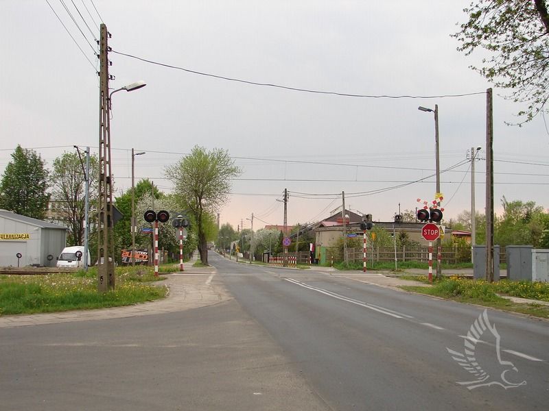 DSC00641