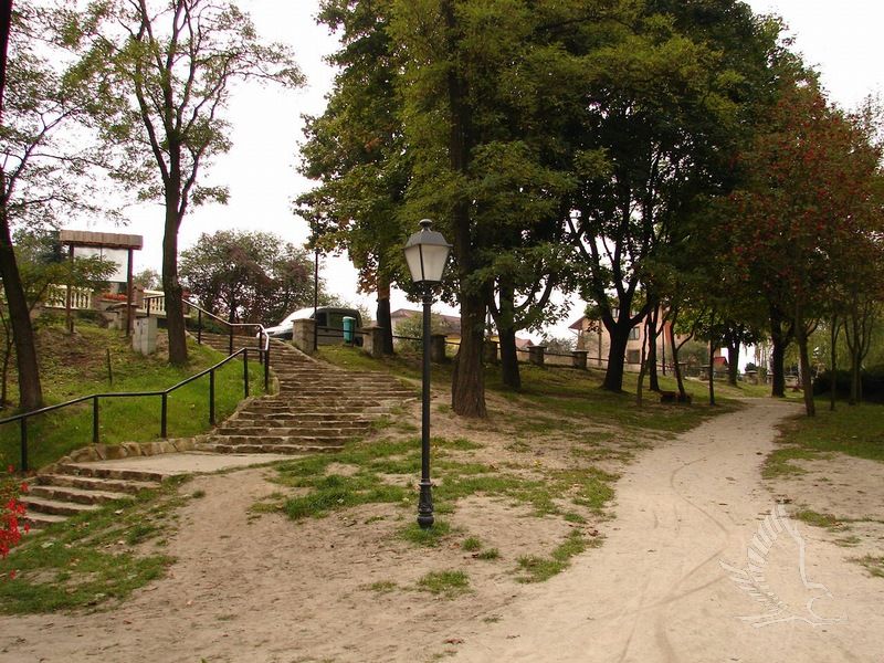 DSC07840