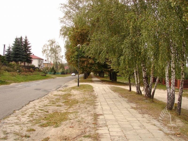 DSC07848