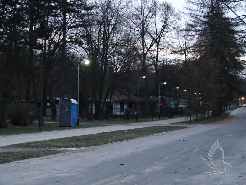 DSC00461