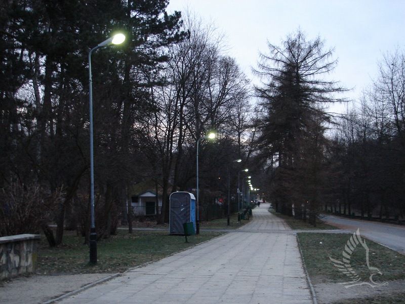DSC00466