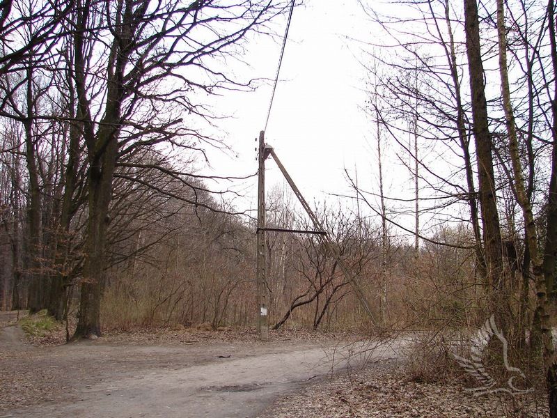 DSC09396