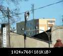 ORZ-7-1 - v1