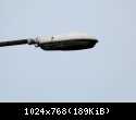 ORZ-7-1 - v1