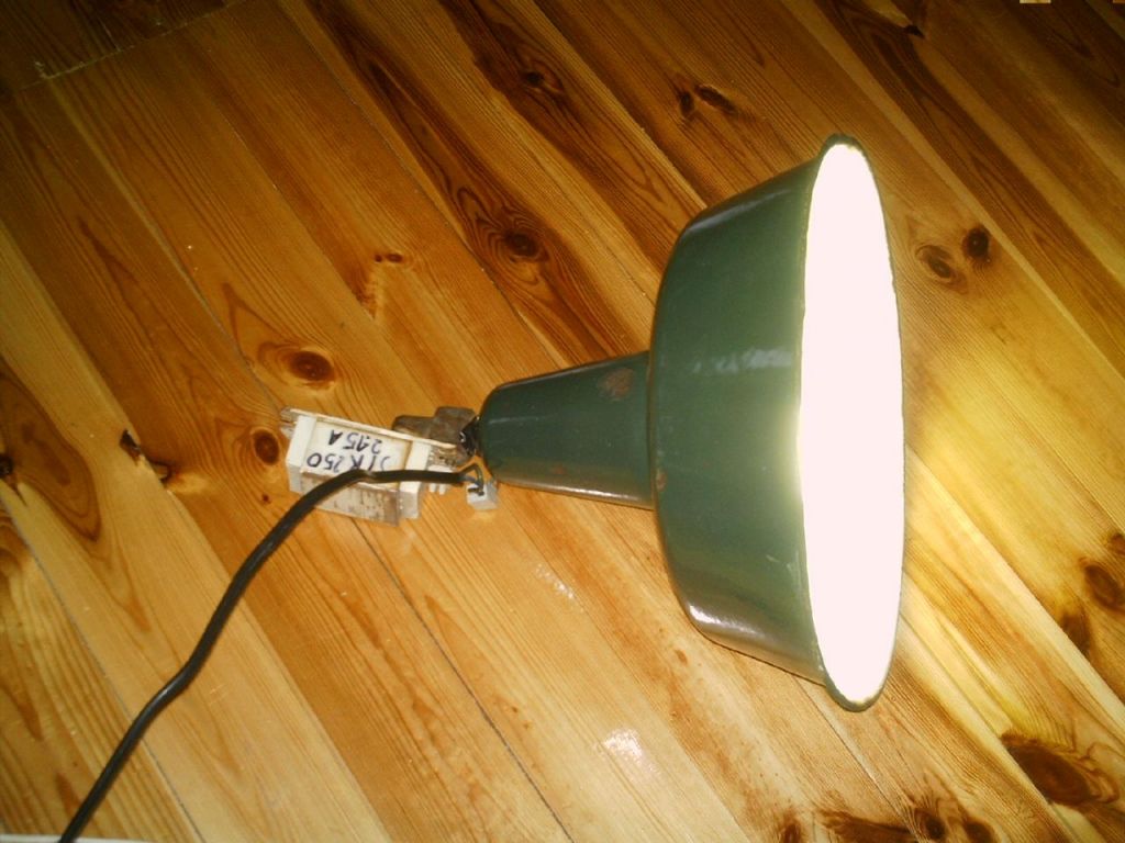 IMAG0054