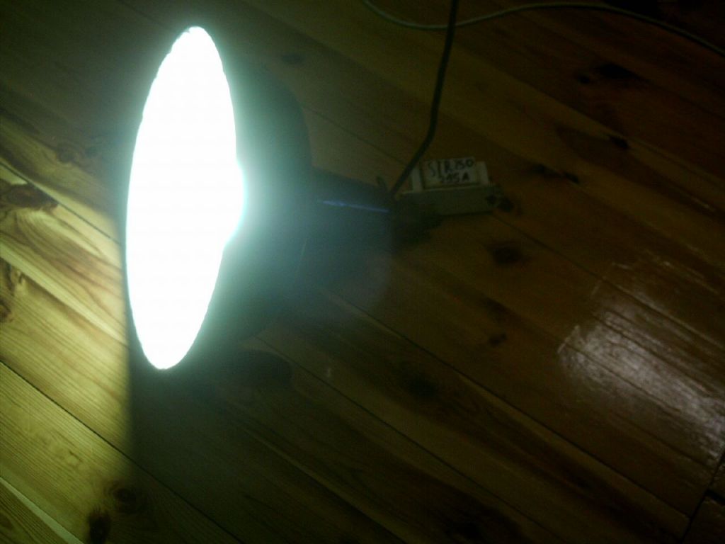 IMAG0055