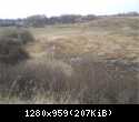 DSC01244