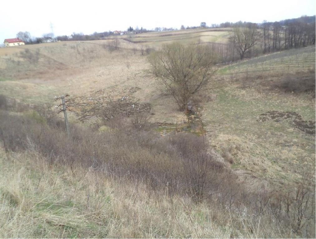 DSC01240