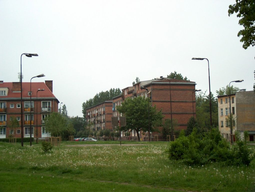 HPIM6705