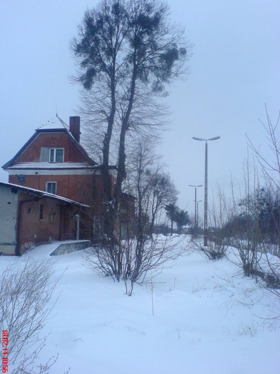 DSC07091