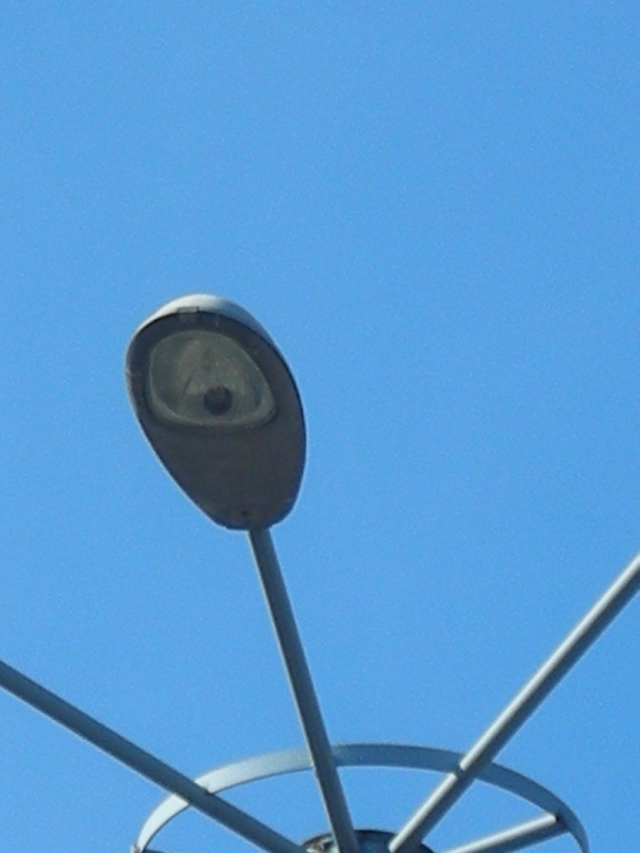 DSCN4221