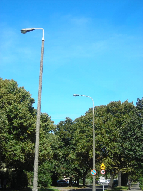 DSCN4224