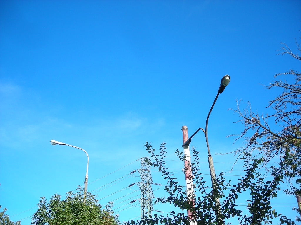 DSCN4228