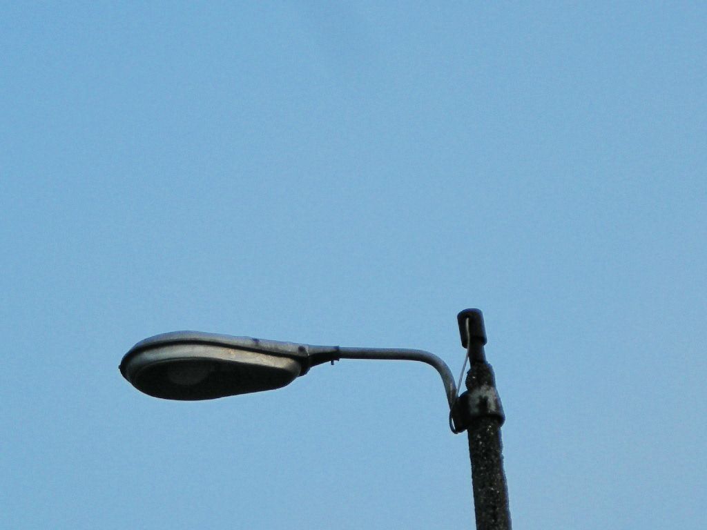 FSCN4174