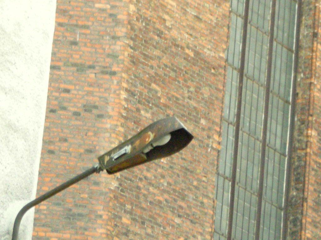 DSCN6493