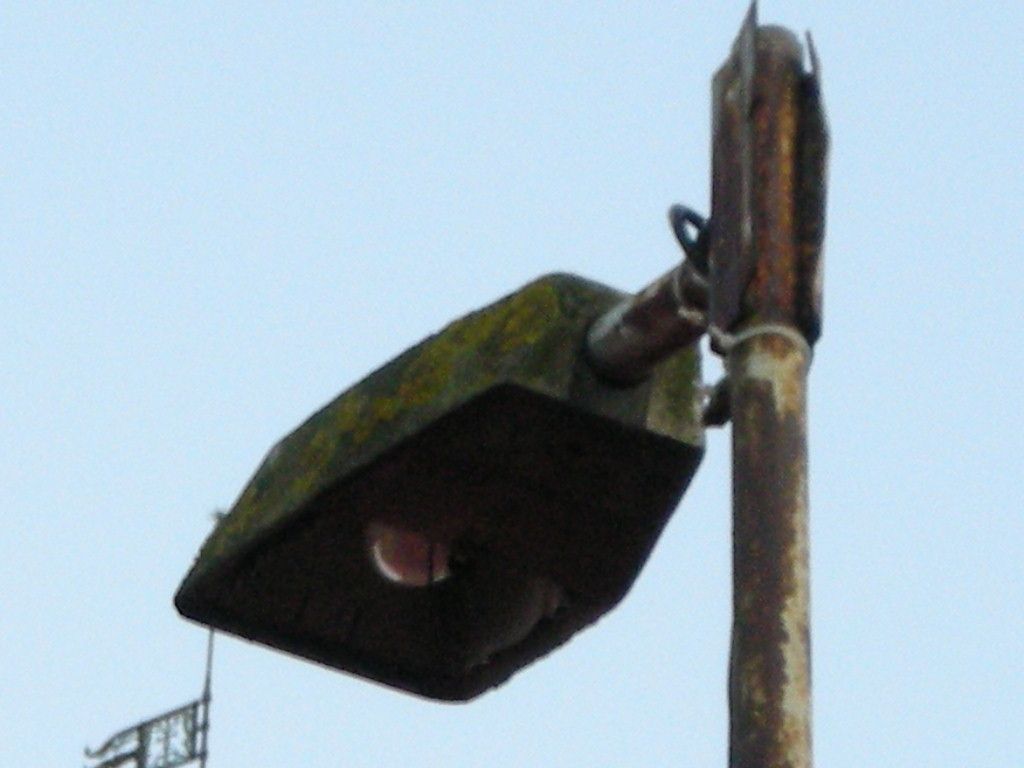 DSCN6504
