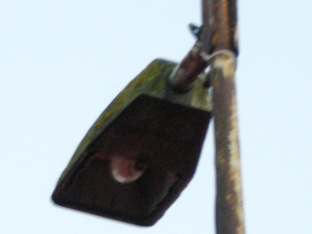 DSCN6506