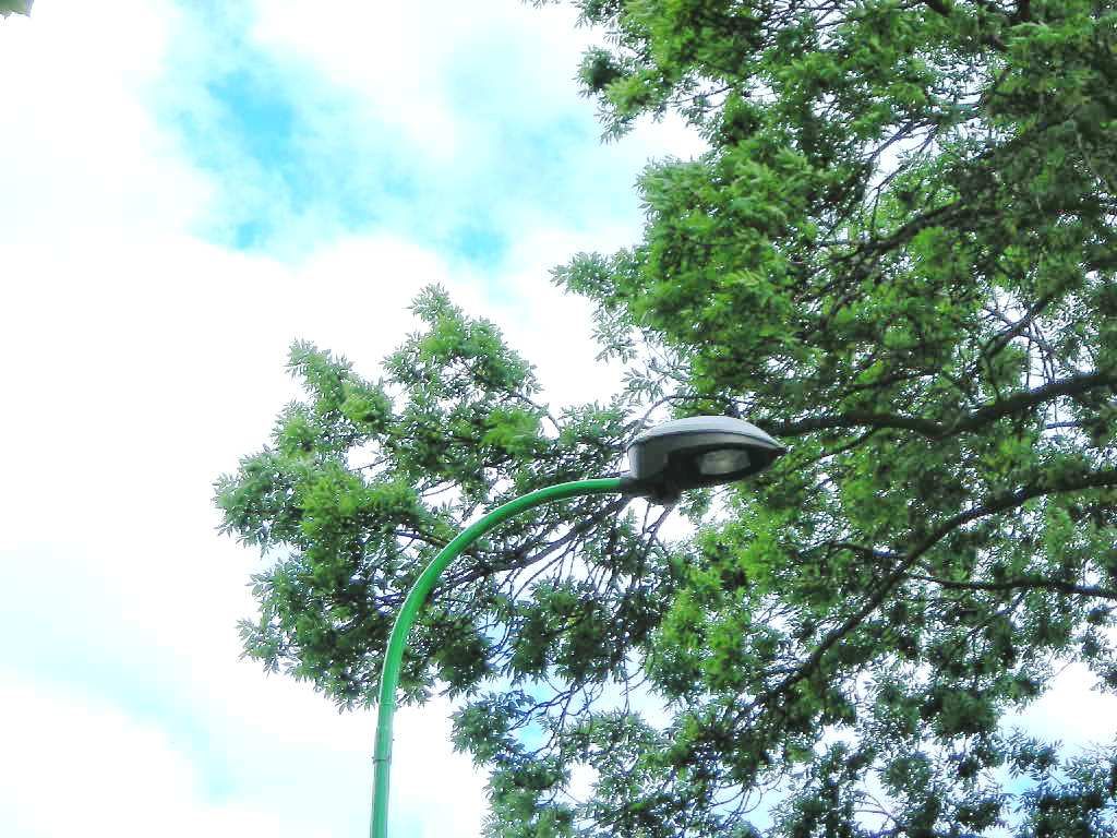 dSCN5560