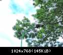 dSCN5560