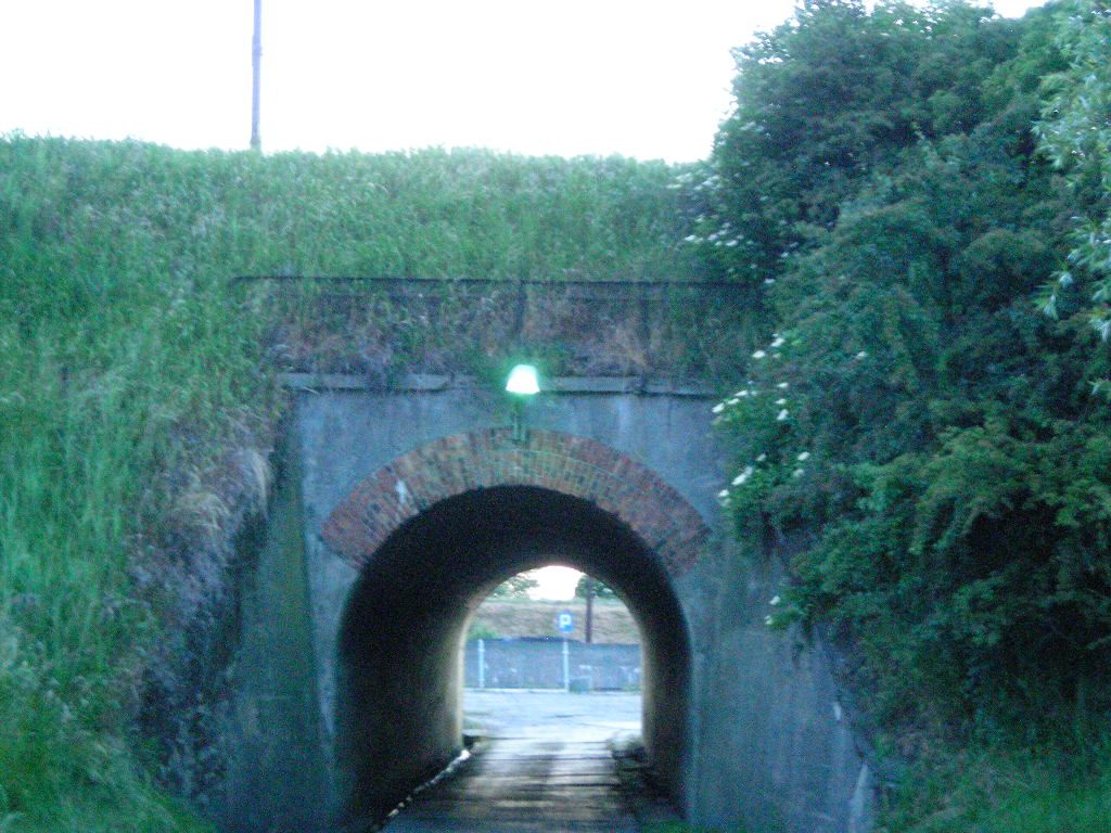 DSCN5568