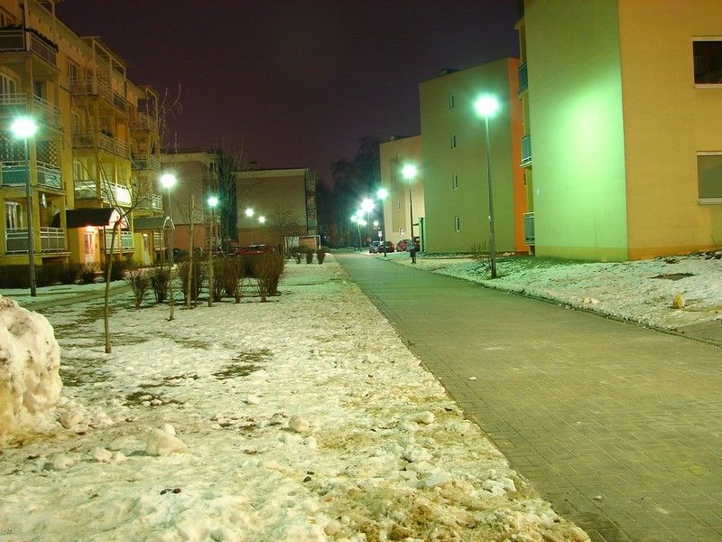 DSC05316