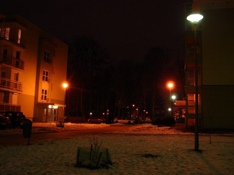 DSC05324