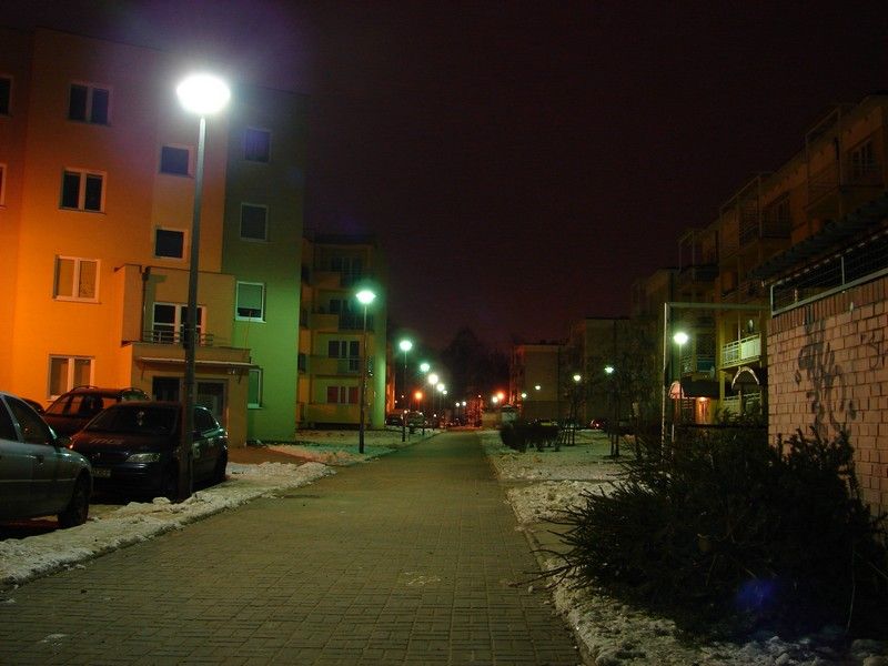 DSC05337