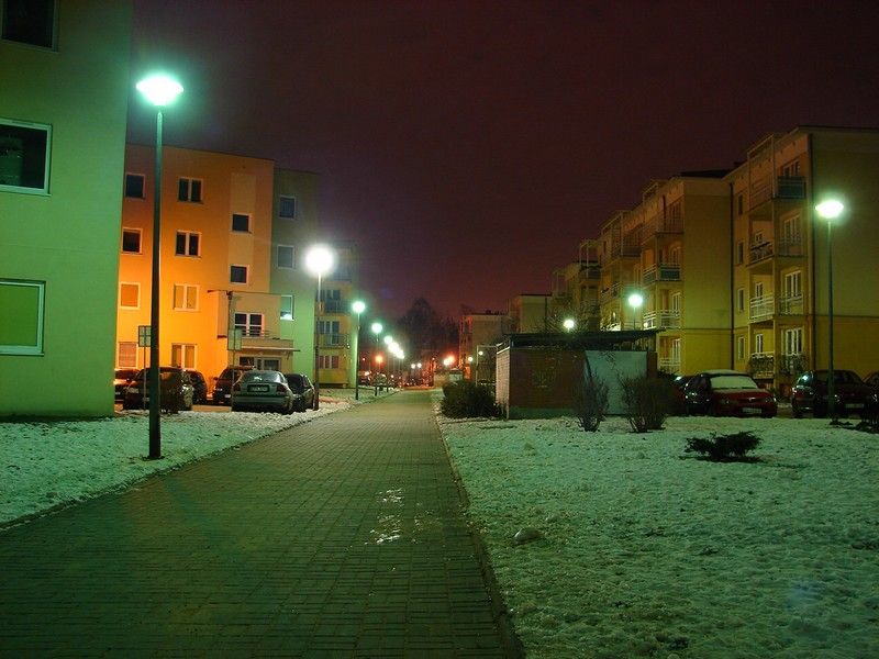 DSC05352