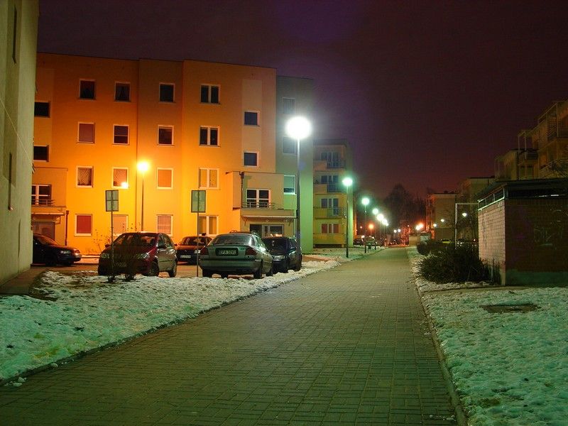 DSC05354