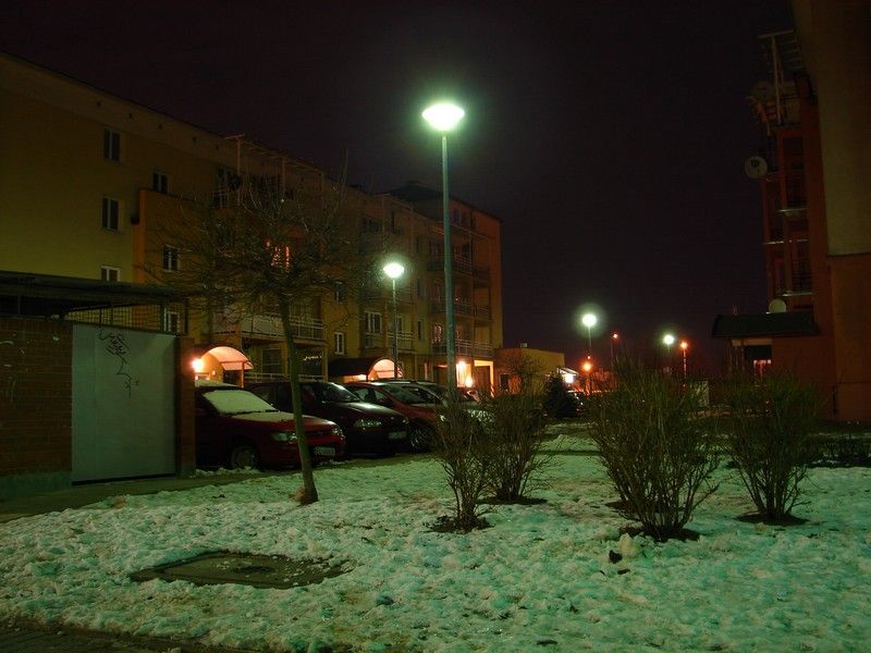 DSC05355